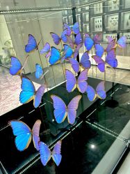 -酷嗒动物文化乐园(cutezoo西溪乐天城店)