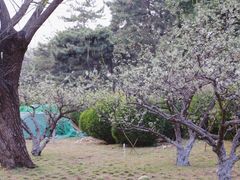 -元大都城垣遗址公园