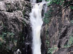 -茅兰沟国家森林公园