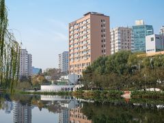 -三里屯东五街银杏大道