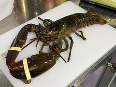 -万达广场(济南魏家庄店)