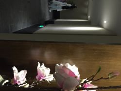 盘子女人坊(深圳盘子女人坊)-盘子女人坊生日照·摄影馆(华强店)