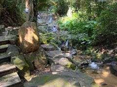 -广州市白云山风景名胜区