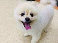-北京观赏动物医院·24小时大型综合·猫专科·异宠专科