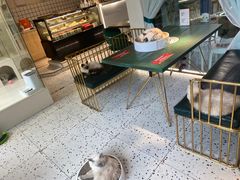 -喵喵咪呀布偶猫咖(春熙路店)