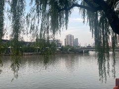 -运河游船(武林门码头)