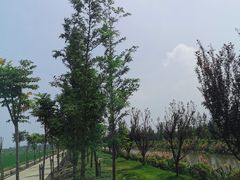 -太阳岛度假酒店