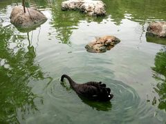 -昆明动物园