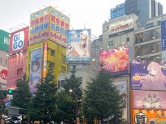 -Animate(秋叶原本馆)