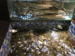 -禄海渔港(九堡店)