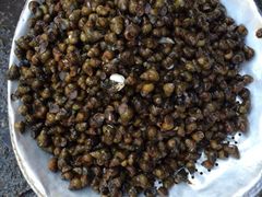 iphone_upload_pic-苍洱春饭店