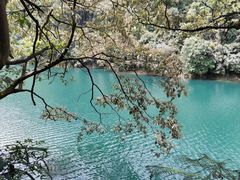 -星湖旅游景区七星岩