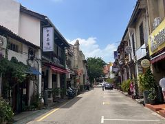 -马六甲鸡场街