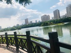 -南宁南湖公园