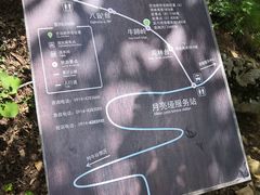 -牛背梁国家森林公园