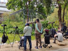 -人民公园(罗湖区)