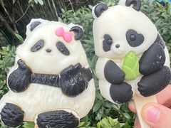 -都江堰中华大熊猫苑