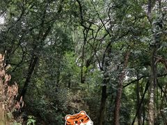 -飞霞风景名胜区