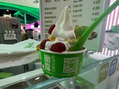 -Salud撒露欧洲冻酸奶(五道口购物中心店)
