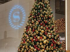 -博林天瑞喜来登酒店·西丽尚膳