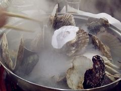 扇贝-春华海鲜城(广场西苑店)