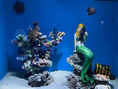 -上海海昌海洋公园