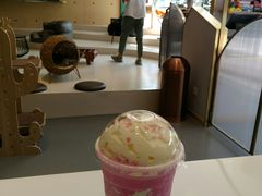 -飞行喵MR PILOT|猫舍·猫咖(静安大融城店)