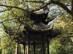 -峨眉山报国寺