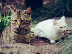 -上海植物园-4号门售票处