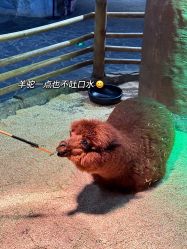 -Zoolung Zoolung动物主题公园(海信广场店)