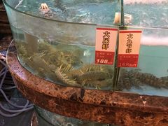 -五谷芳乳鸽王（大梅沙总店C区）(网红打卡店)
