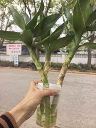点击看大图 -上海宏康医院·医疗美容科