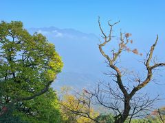 -青城山