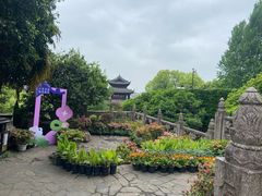 -虞山城墙