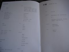 -新加坡航空公司(ION)