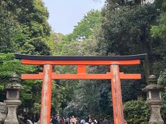 -奈良公园