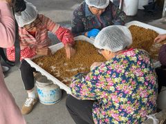 -苏州市吴中区光福窑上花果蜜饯厂