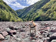 -双龙峡