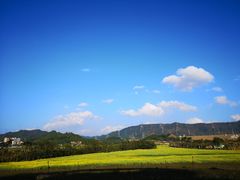 景点-光明小镇欢乐田园