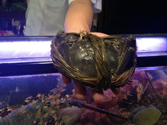 iphone_upload_pic-牛寿司