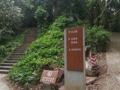 -滴水岩森林公园