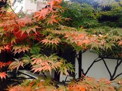 -书香府邸·平江府