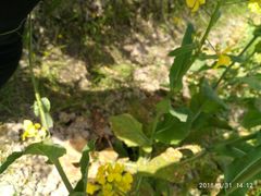 -天宁凯利时尚餐厅