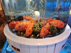 -金苑海鲜酒家(来魅力店)