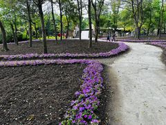 -丹樱生态园