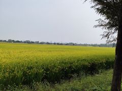 -嘉北郊野公园