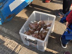鹅血-正宗忘不了老鹅(梅岭店)