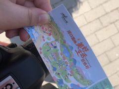 -呼兰河口湿地公园