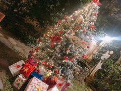 -Lam Vien Restaurant