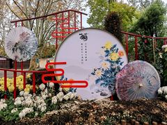 -上海共青森林公园